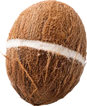 La noix de coco givrée, au cœur de la Coco Experience